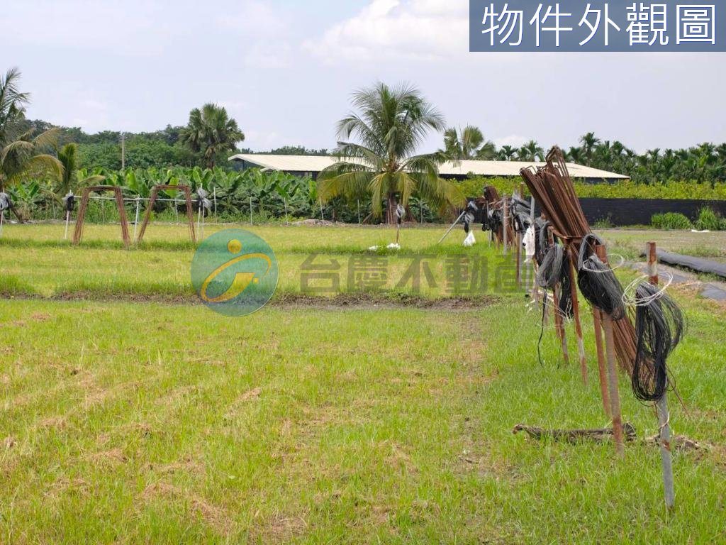 高樹臨路6分農地+合法資材室｜物件照片5
