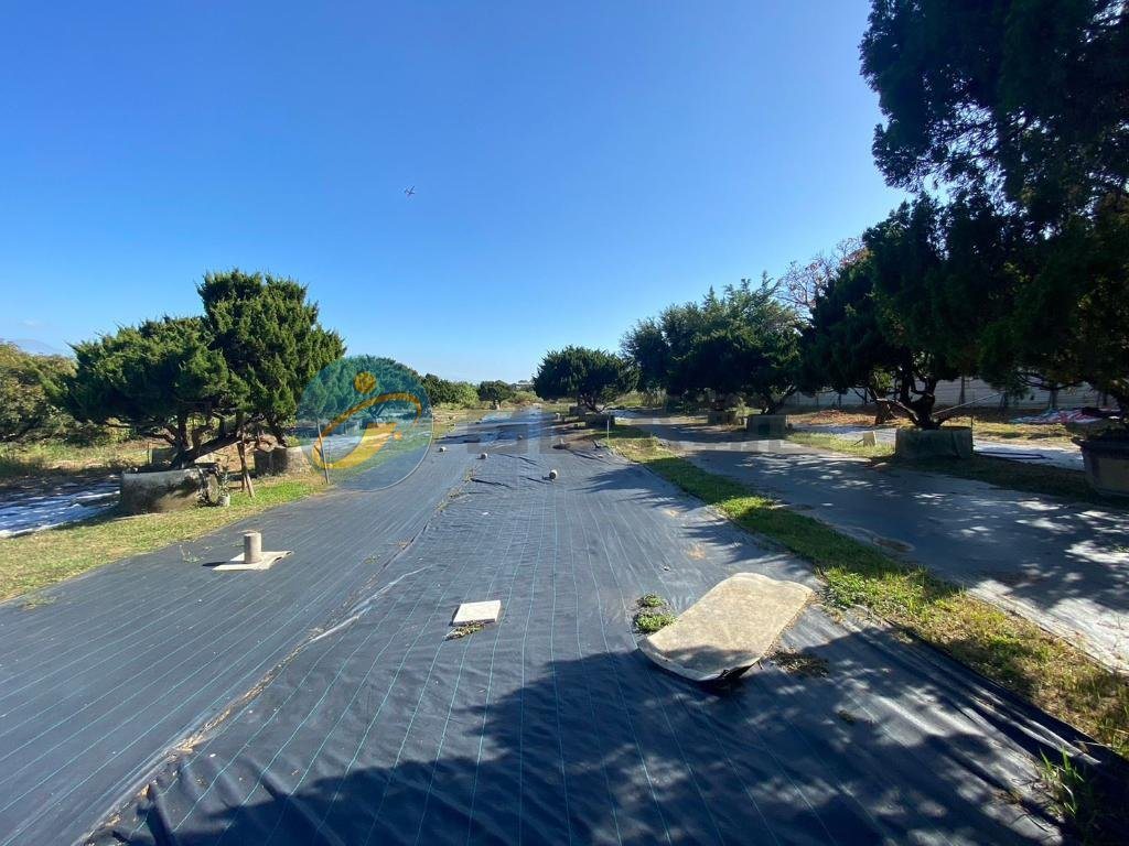 鳥松仁美長春路景觀超大面寬方正農地-【D區】｜物件照片5