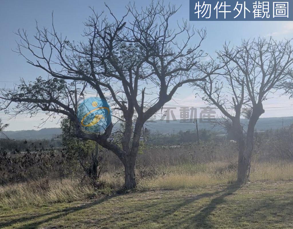 恆春鎮｜恆春生活圈大地坪土地 投資置產首選農地｜出售｜TC0072013｜物件照片3